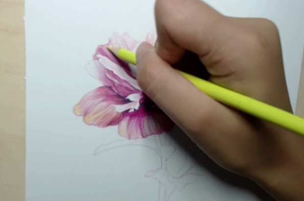 如何用彩铅画花