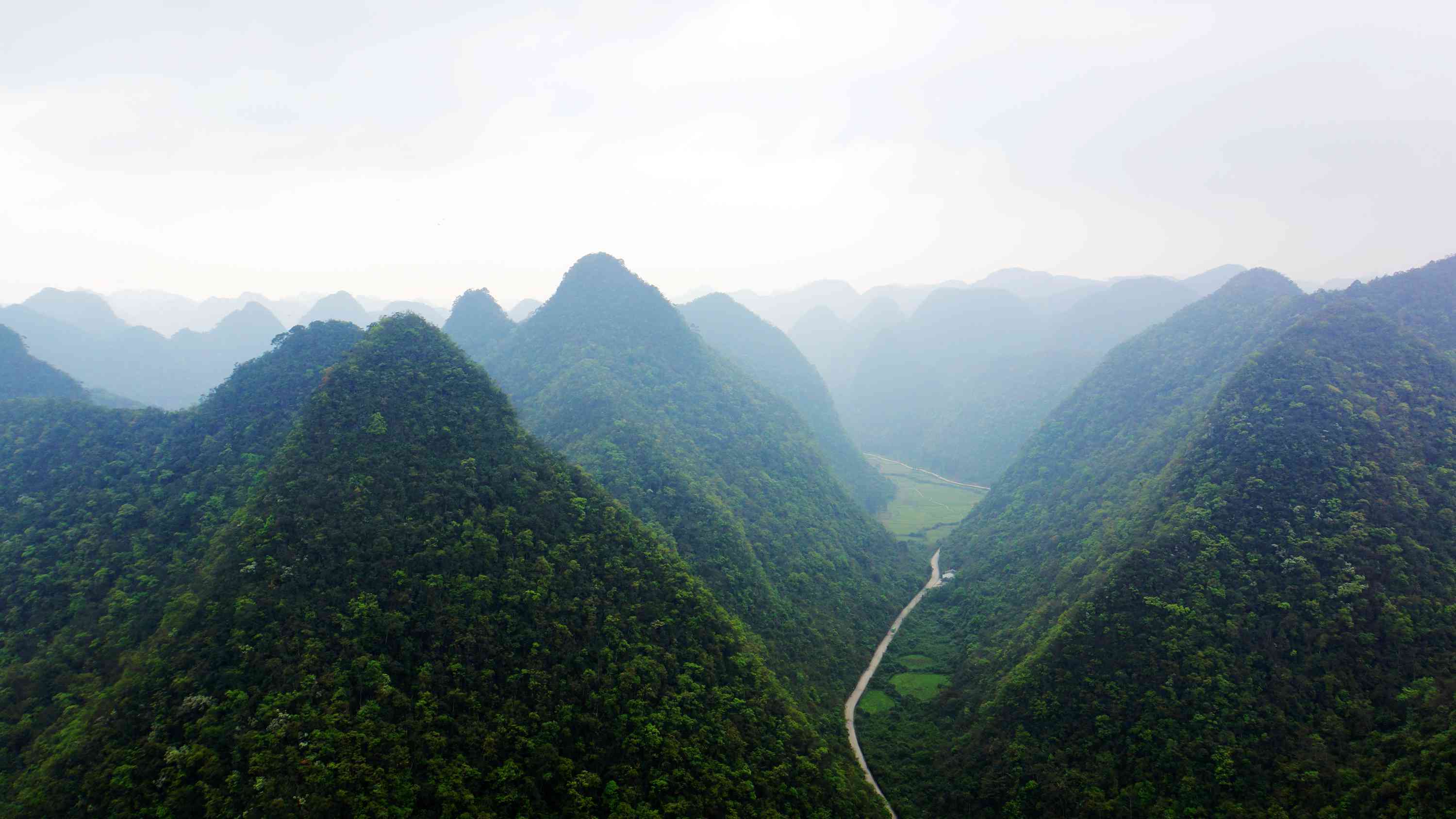 茂兰图册_360百科
