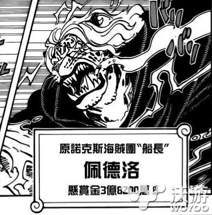 诺克斯海贼团图册_360百科