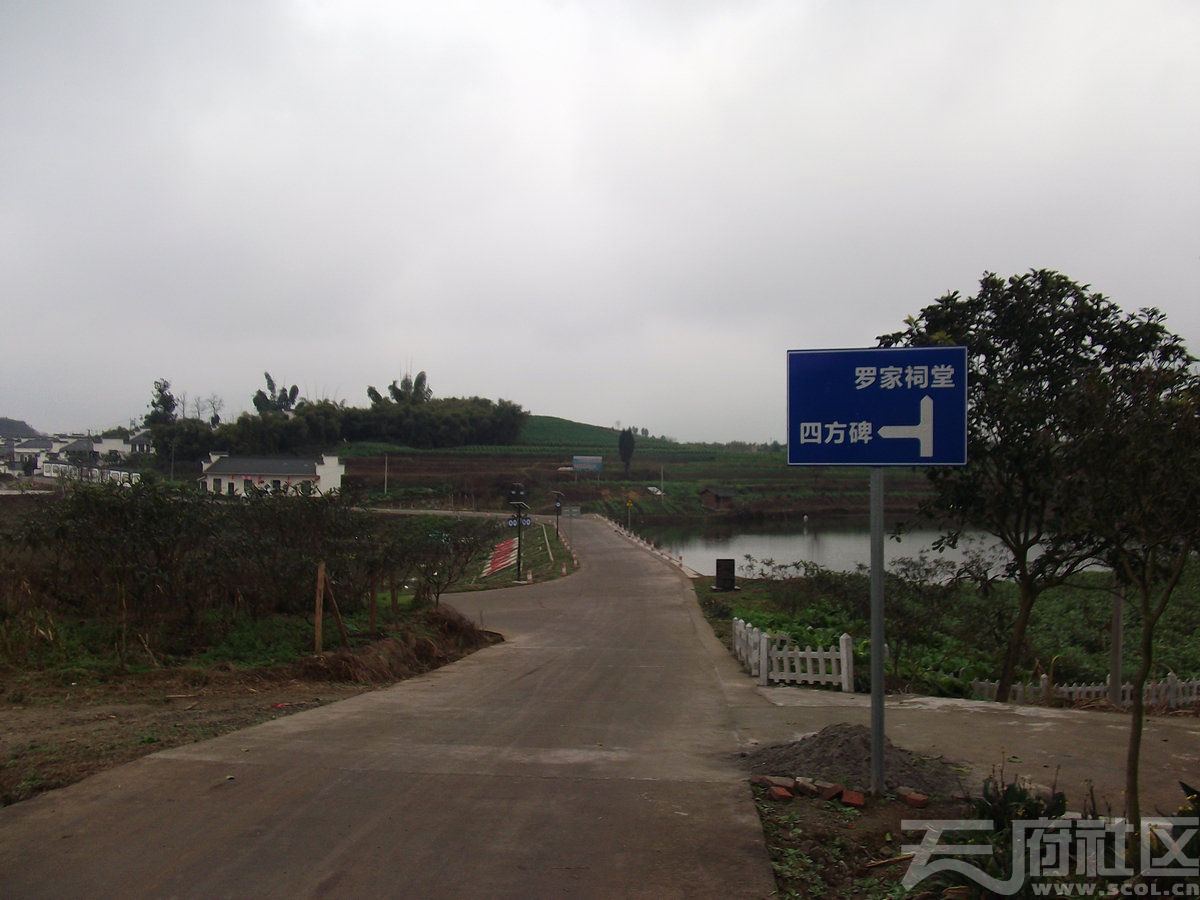 四川省十大最美农村路揭晓，快来看哪些过你家门_四川在线