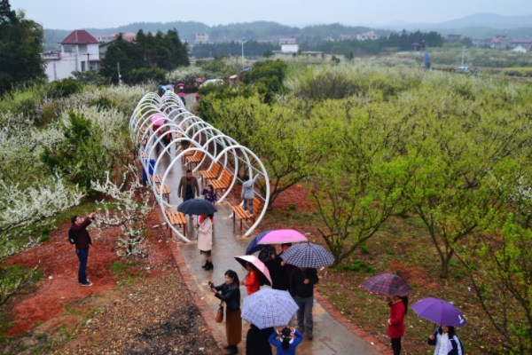 永修旅游必去十大景点