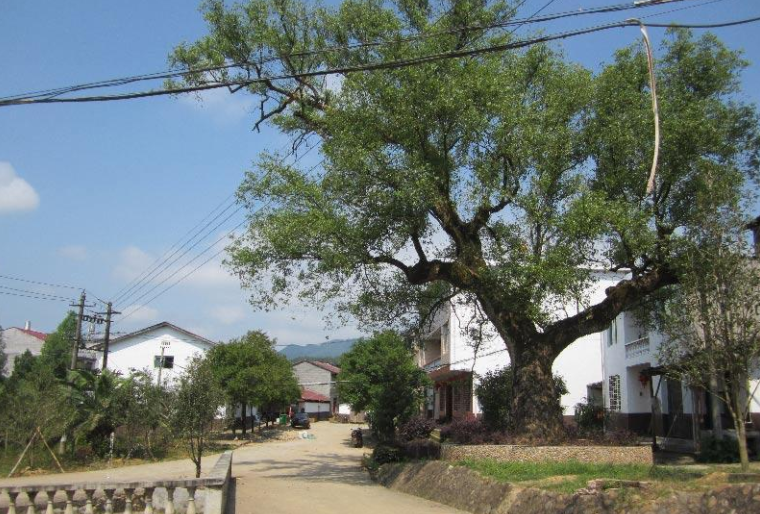 山尾村图册_360百科