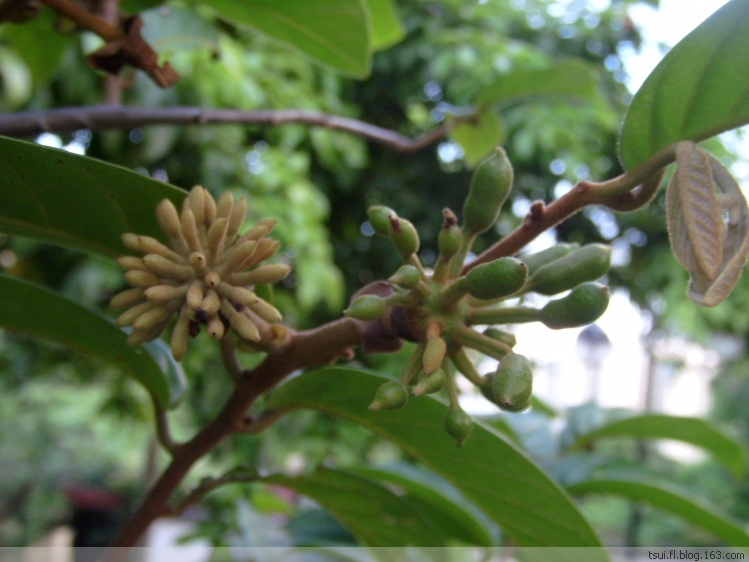 覆瓦状图册_360百科