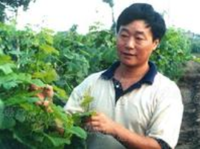 李华图册_360百科