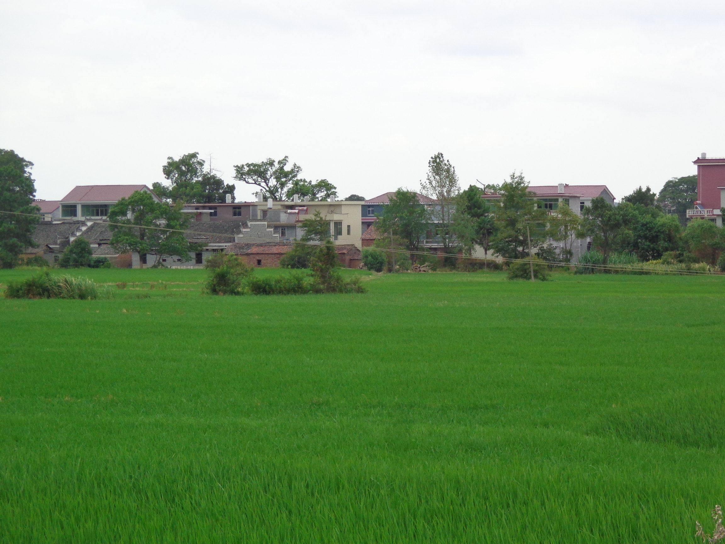 甘竹村图册_360百科