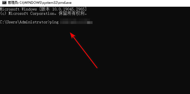 ping操作的具体流程