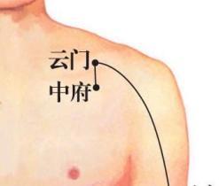 中府穴图册_360百科