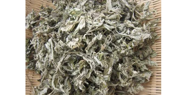 艾草怎样加工成艾绒_360新知