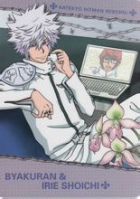 白蘭 入江正一 PRカード まとめ 白正图册_360百科