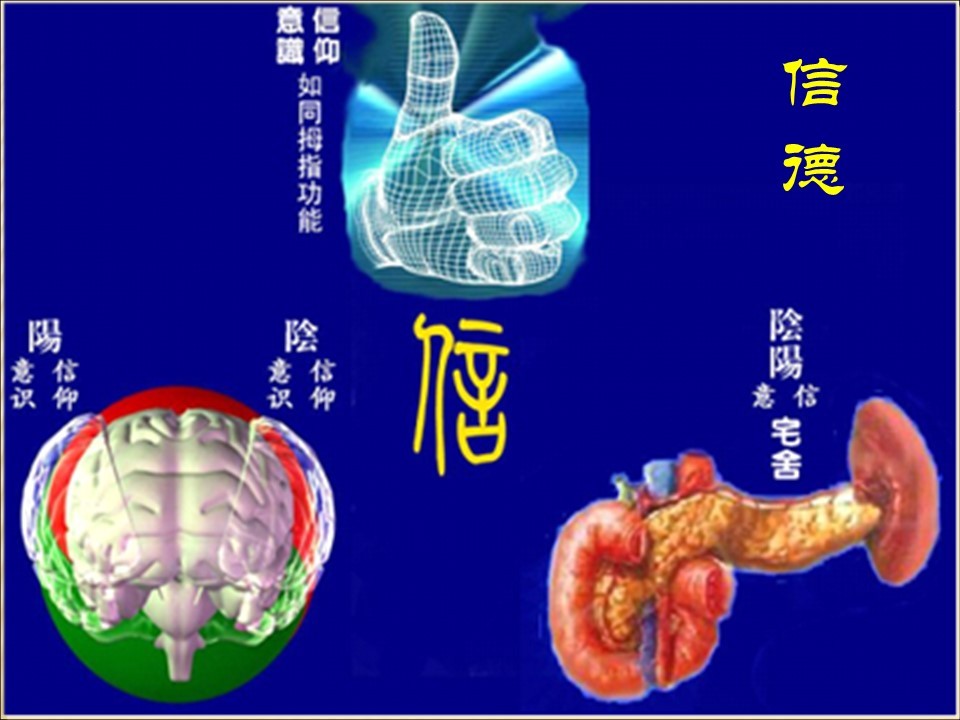 信德图册_360百科