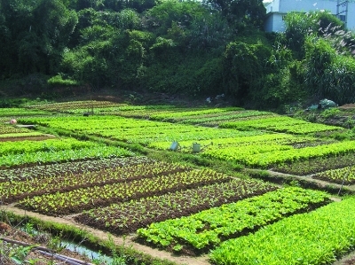 田垄(地貌)_360百科