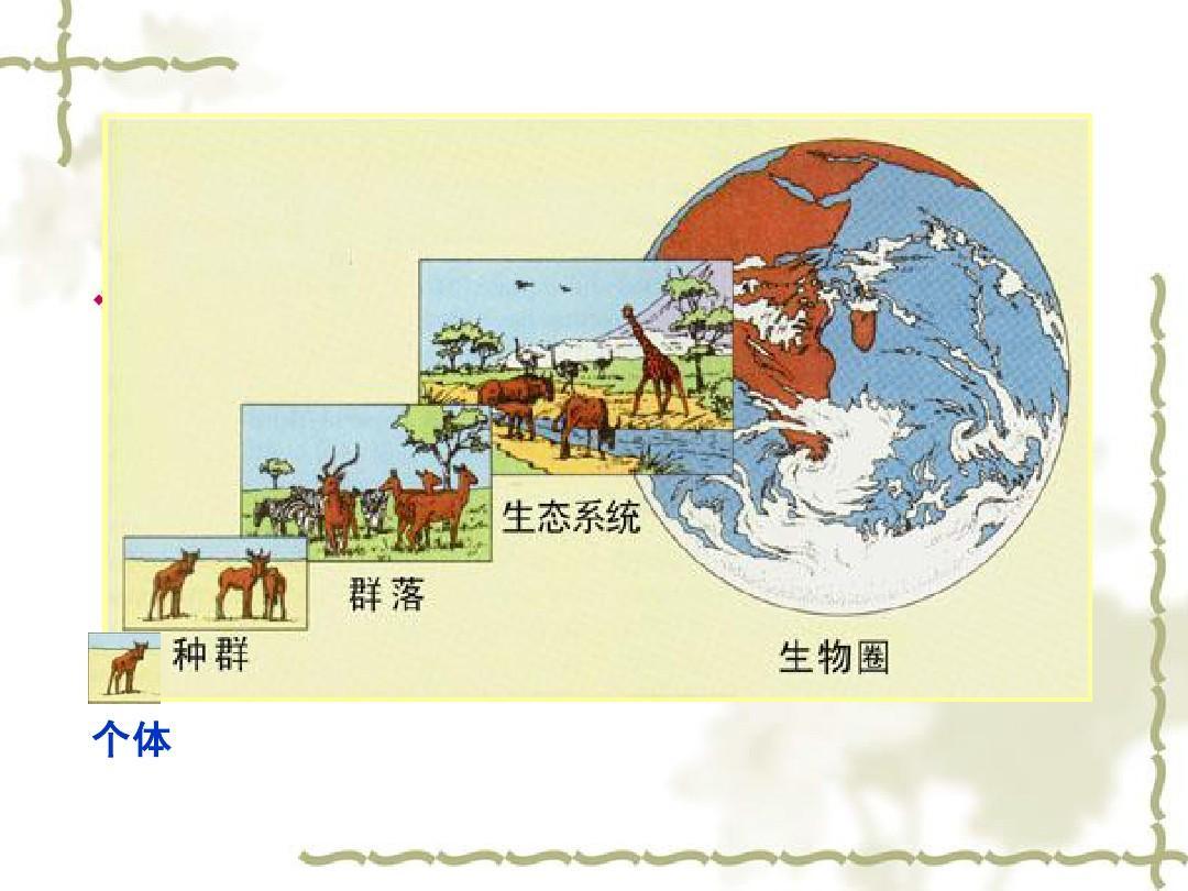 种群图册_360百科