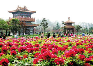 专类花园图册_360百科