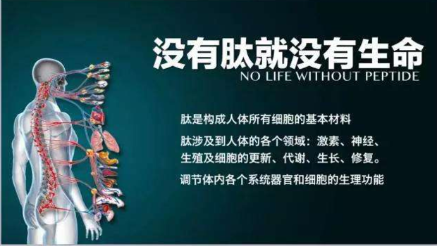 青蛙总动员