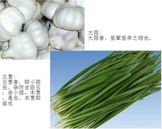 五辛图册_360百科