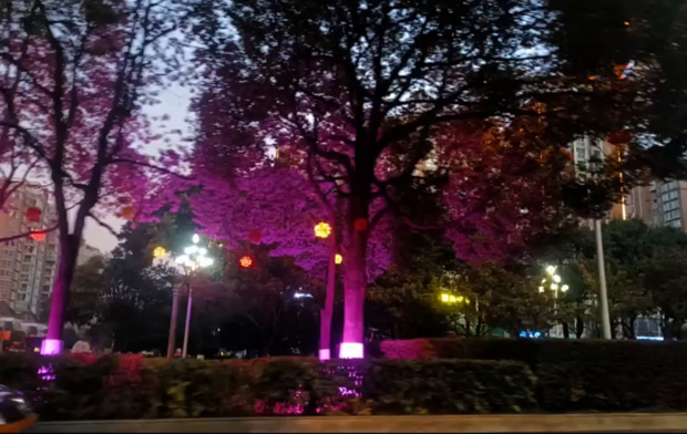 图片[13]-2023年2月26日记录生活-大白创意网络