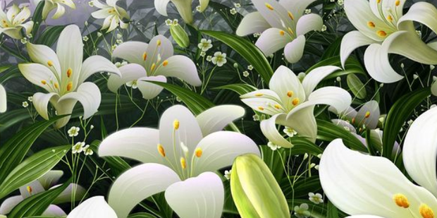 快速醒花的教程 t01cda32ebf9c4051f4.png