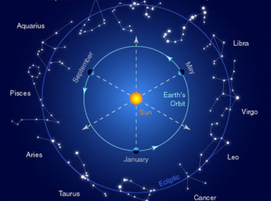 科名星纹图解图片