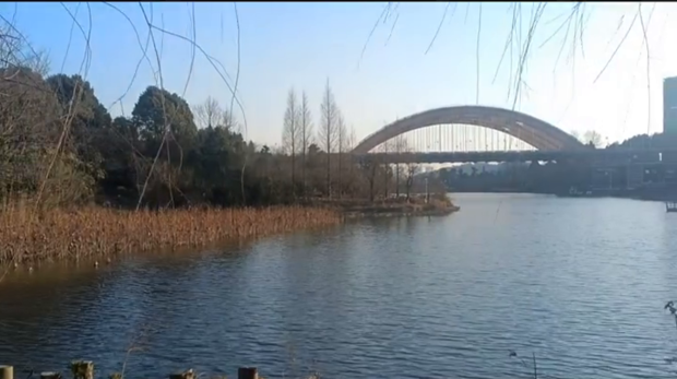 图片[11]-2023年2月26日记录生活-大白创意网络