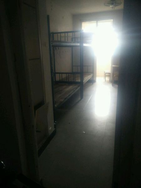 北关区家具市场观察：传统与现代的交响曲