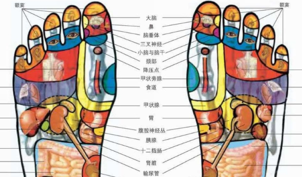 杨歌