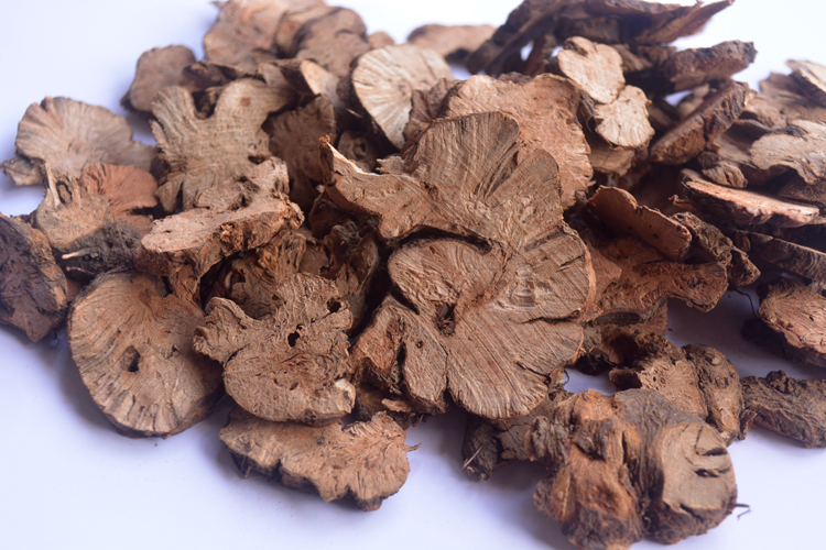 荞麦叶三七,荞麦三七_文秘苑图库