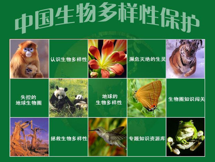 生物多样性减少 丧失图片