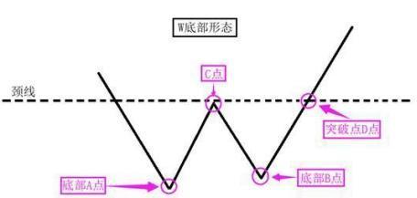 W底形态图册_360百科