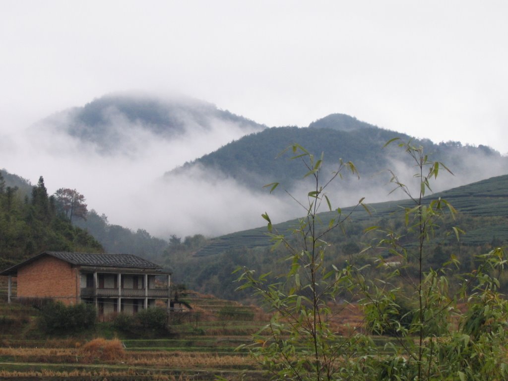 金田村图册_360百科