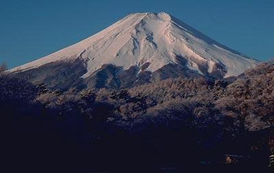 富士山树海图册_360百科
