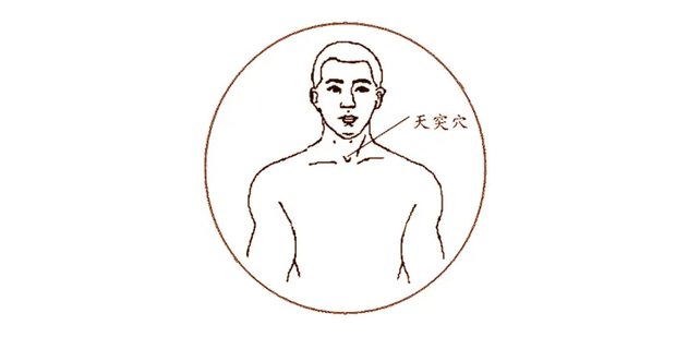 天突穴穴位位置图及作用_360新知