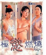 极欲燃烧2004