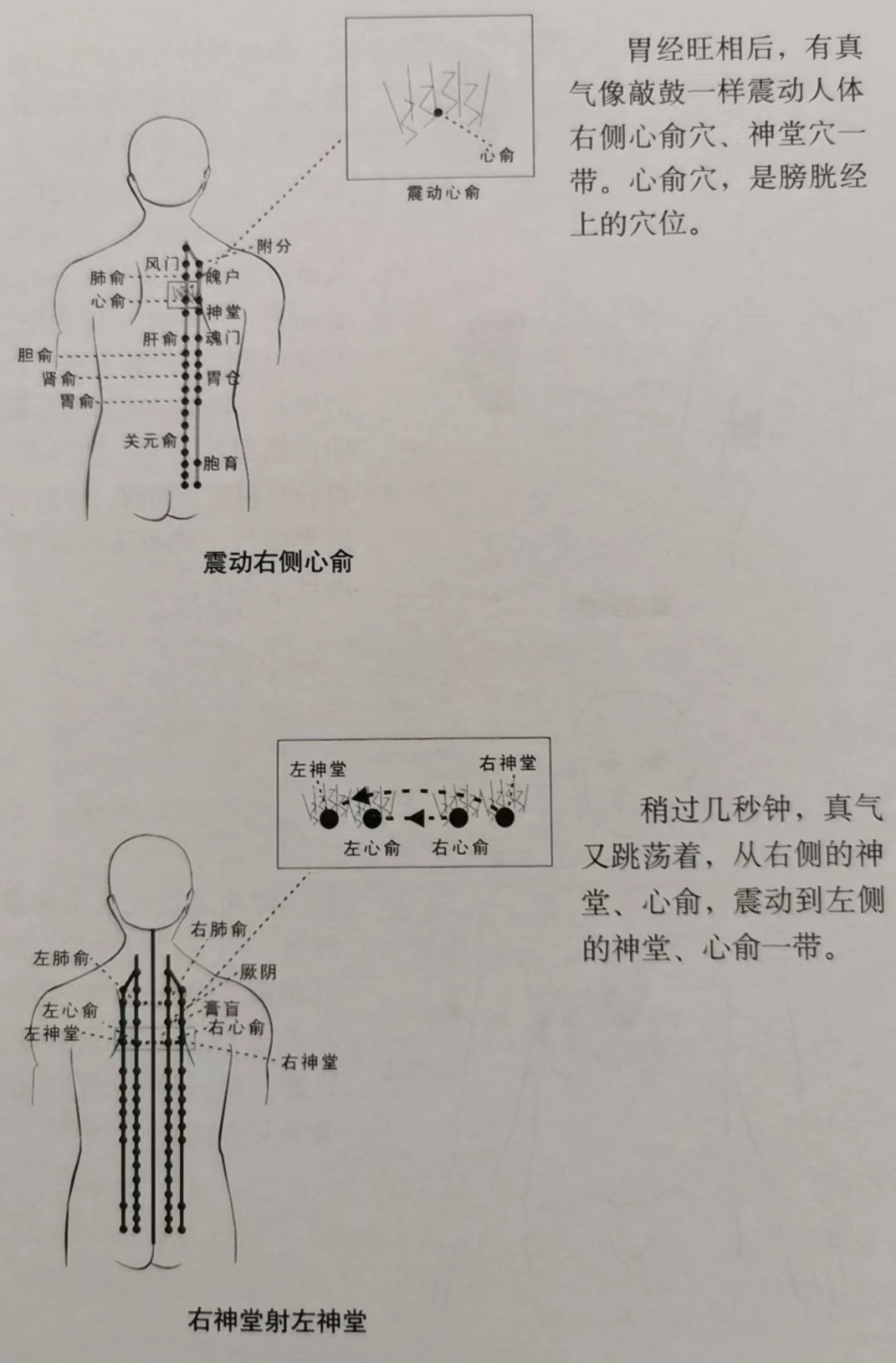 足阳明胃经(人体第三经)_360百科