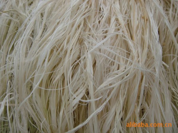 苎麻纤维图册_360百科