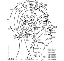 禾髎穴图册_360百科