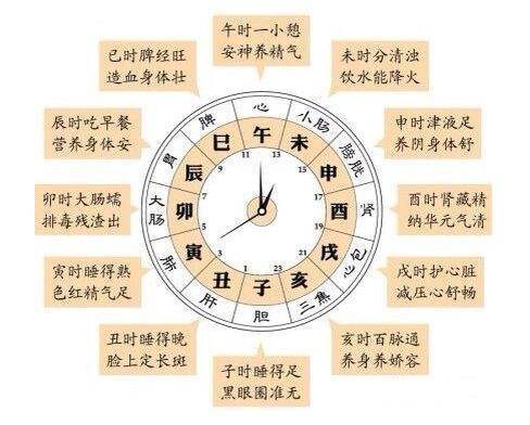 胖子没前途