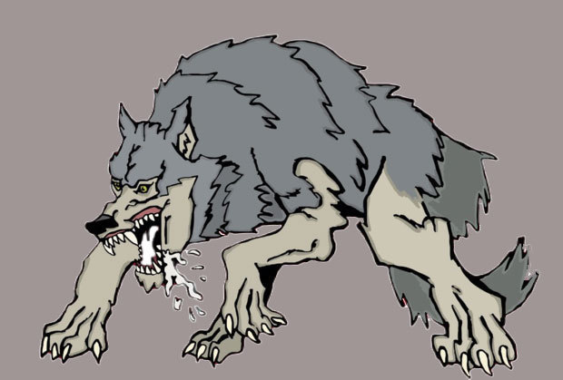 我想要一张大灰狼的图片