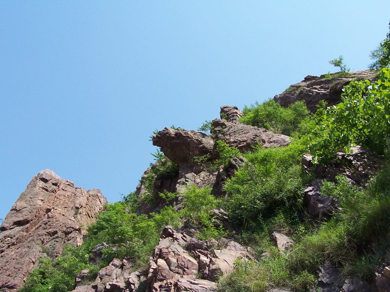 常村图册_360百科