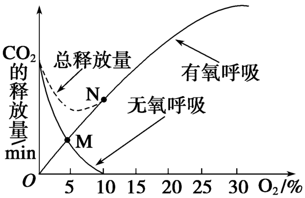 细胞呼吸图像分析图片