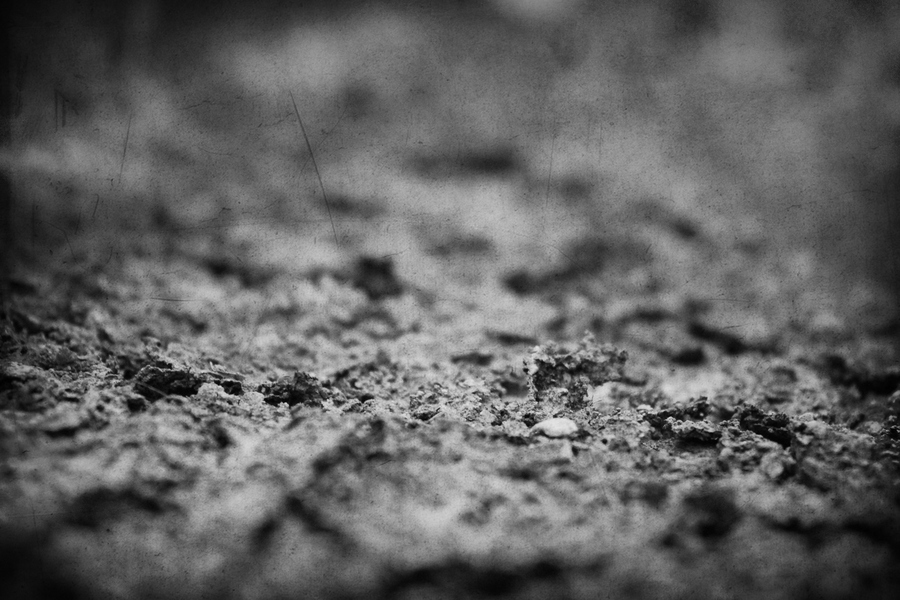 灰烬图册_360百科