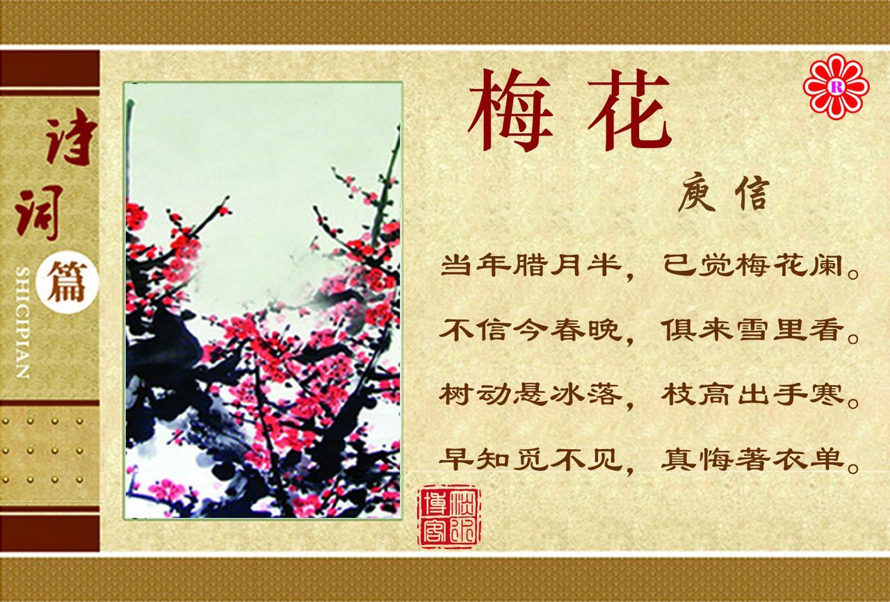 梅花图册_360百科