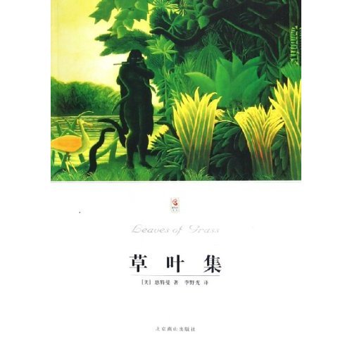 自由翱翔