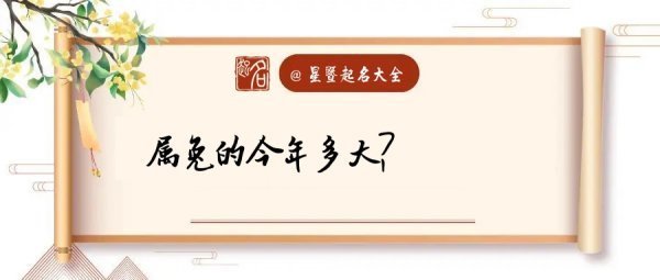 属兔命案吗领球真单叶粮分控的今年多大？