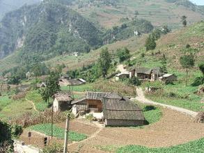 水田村图册_360百科