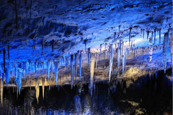 石笋和钟乳石区别(石钟乳和花石笋的区别是什么) - 数据学院