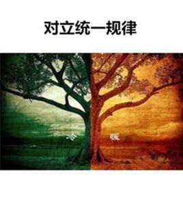 对立统一图册_360百科