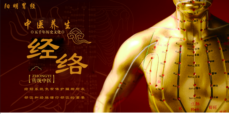 胃经图册_360百科