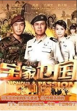 宝家卫国