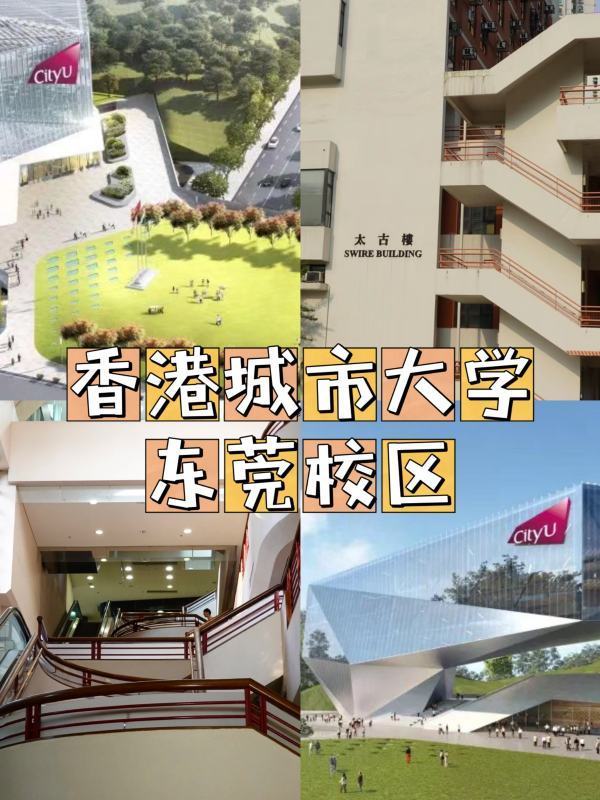 🌸中国经济周刊网【2024澳门资料大全免费】_用汗水守护城市“颜值”，直击高温下“城管蓝”的一天