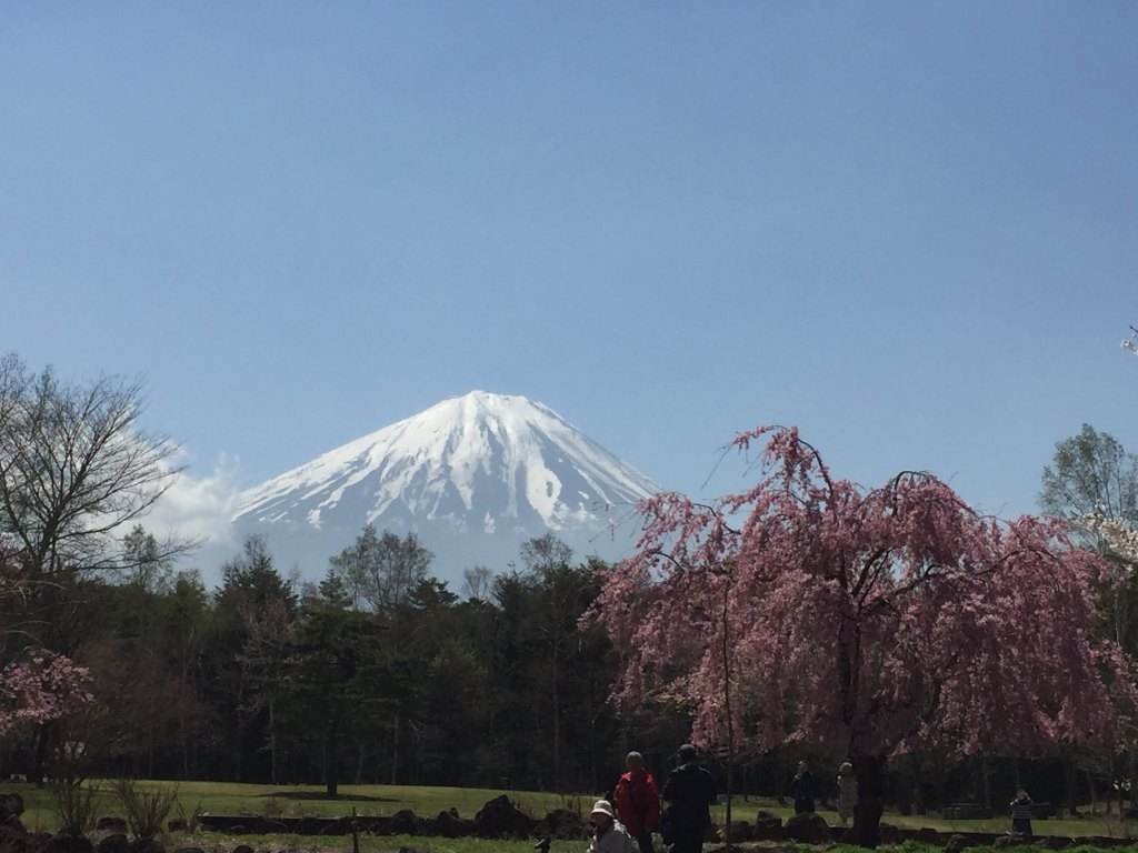 富士山树海图册_360百科